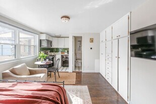 113 S Henry St, Unit SI ID1468341P in Madison, WI - Building Photo