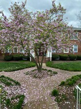 305 E Duncan Ave in Alexandria, VA - Building Photo - Building Photo