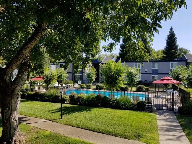 Forest Park in Chico, CA - Foto de edificio - Building Photo