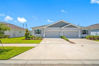 31442 Ancient Sage Rd in Wesley Chapel, FL - Building Photo - Building Photo