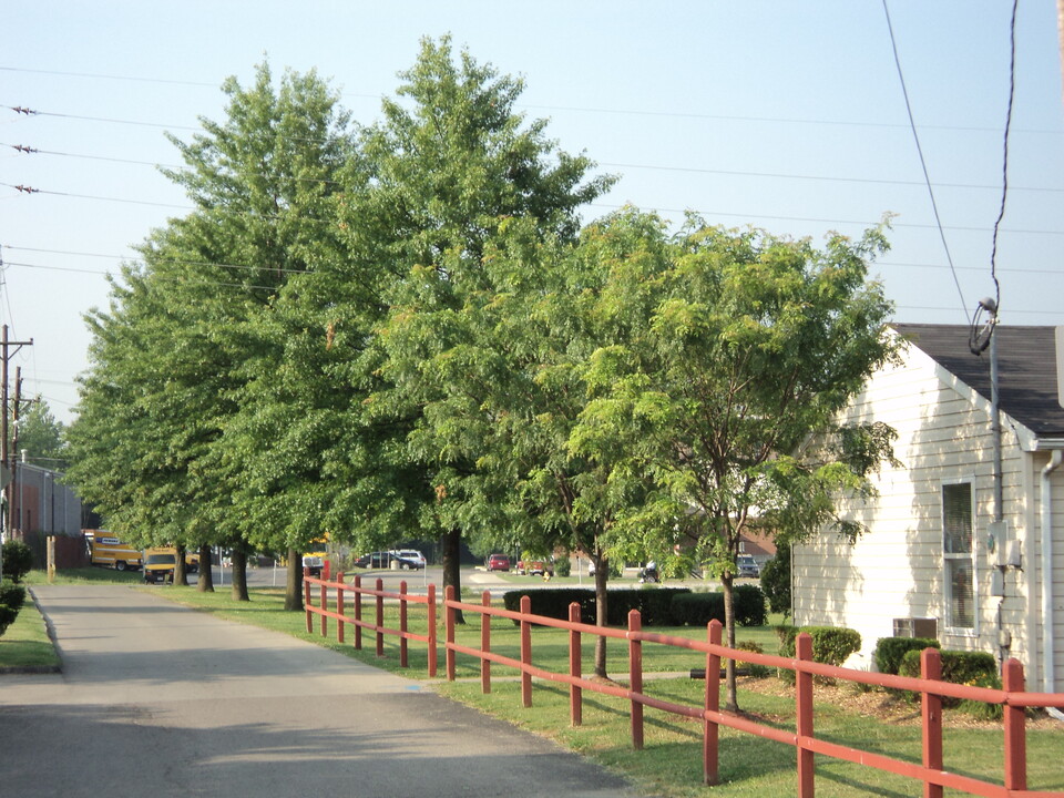 Bradford Pointe Apartments in Louisville, KY - Foto de edificio