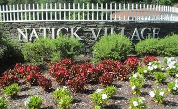 4 Village Hill Ln in Natick, MA - Building Photo - Building Photo