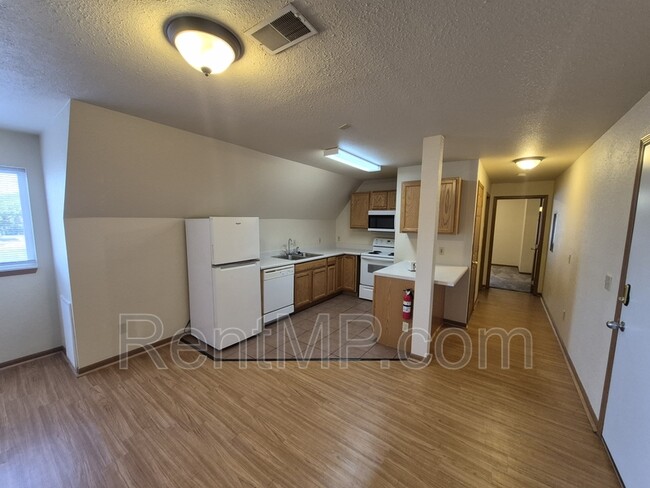 1021 S Mission St in Mt. Pleasant, MI - Building Photo - Building Photo