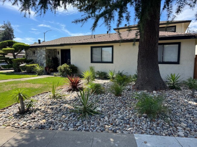 property at 849 Opal Dr