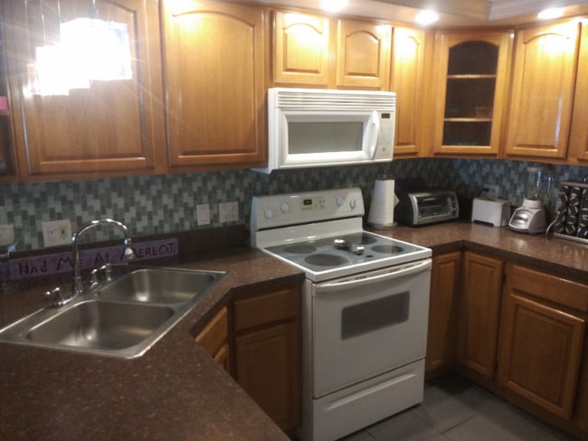 1735 Cupecoy Cir in Lutz, FL - Building Photo - Building Photo