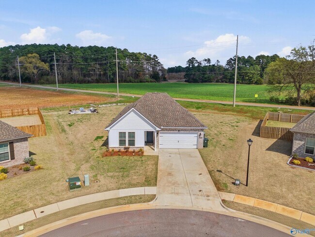 221 Willie Sanders Dr in Madison, AL - Building Photo - Building Photo