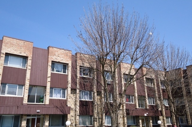 Honey Bee Complex in Chicago, IL - Building Photo