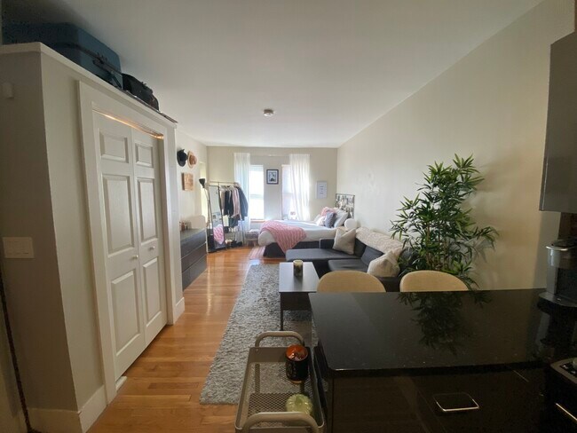 210 Hemenway St, Unit 1 in Boston, MA - Building Photo - Building Photo