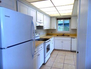 217 Debby Ct in Largo, FL - Building Photo - Building Photo