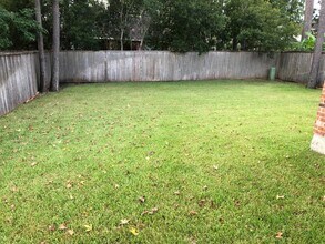 31 W Spindle Tree Cir in Spring, TX - Building Photo - Building Photo