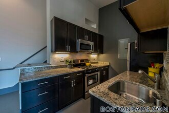 160 E Berkeley St, Unit 310 in Boston, MA - Building Photo - Building Photo