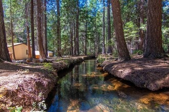 7528 Leaning Cedar Ln in Shingletown, CA - Building Photo - Building Photo