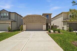 10731 Sora Dr in Willis, TX - Building Photo