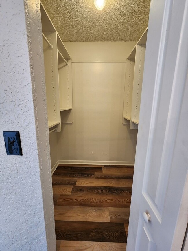 14919 Old Pointe Rd in Tampa, FL - Building Photo - Building Photo