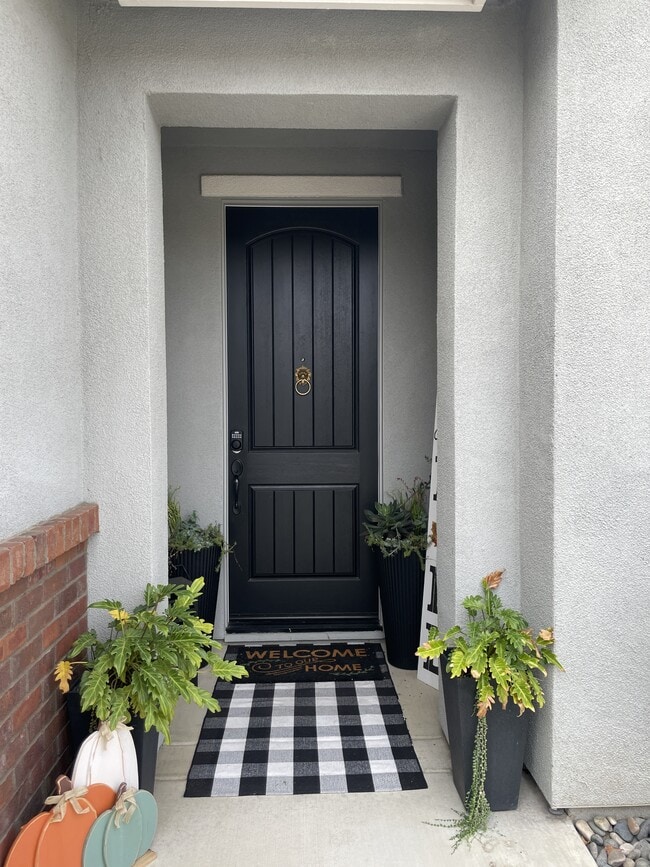 3119 Adriana Ln in Lodi, CA - Building Photo - Building Photo