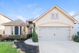 19135 Cypress Rain Ln in Katy, TX - Building Photo