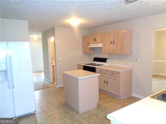 1311 Pebble Ridge Ln in Hampton, GA - Building Photo - Building Photo