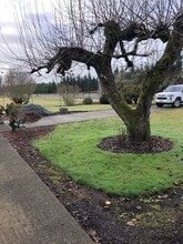 278 Layton Rd in Toledo, WA - Building Photo - Building Photo