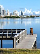 377 22nd Ave SE in St. Petersburg, FL - Building Photo