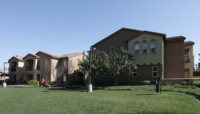 College Park Apartments in Riverside, CA - Building Photo - Building Photo