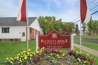 Belmont Ridge Apartment Homes in Tully, NY - Building Photo - Building Photo