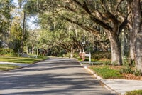 Apartments in Temple Terrace, FL