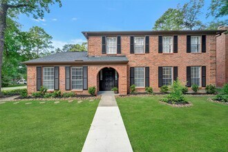 17 E Wandering Oak Dr in Spring, TX - Building Photo - Building Photo