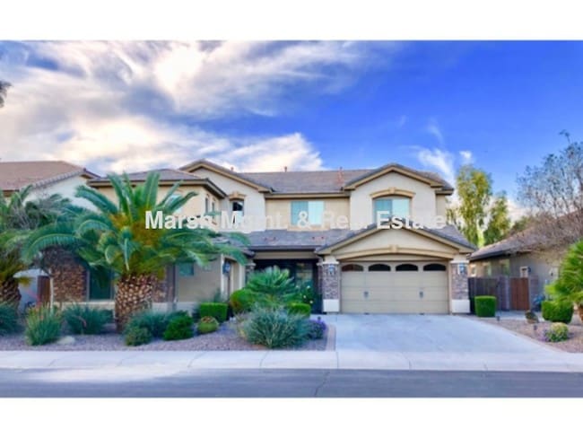 2488 E Ficus Way in Gilbert, AZ - Building Photo - Building Photo