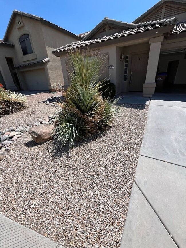 29429 N Blackfoot Daisy Dr in San Tan Valley, AZ - Building Photo - Building Photo