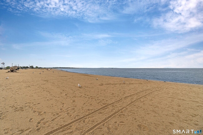 115 Short Beach Rd in Stratford, CT - Building Photo - Building Photo