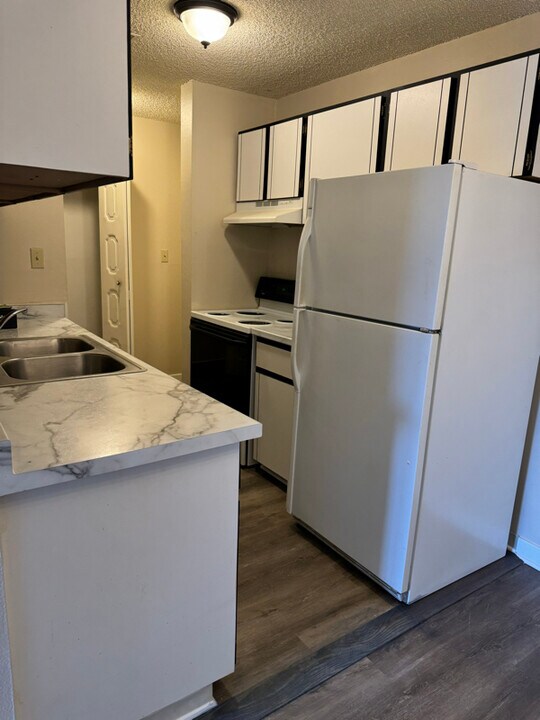 10211 Ura Ln in Denver, CO - Building Photo