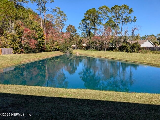 1811 Lago Del Sur Drive in Middleburg, FL - Building Photo - Building Photo