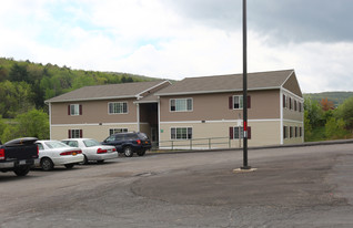 Circle Drive Apartments in Sidney, NY - Building Photo