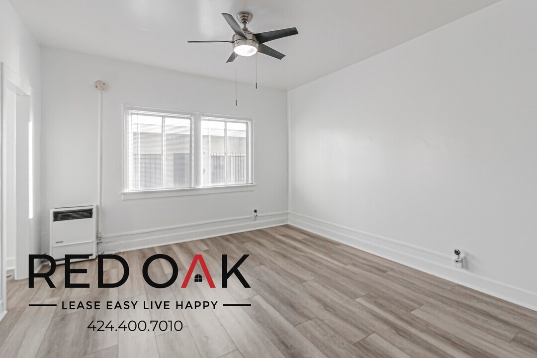 1017 S Kingsley Dr in Los Angeles, CA - Building Photo