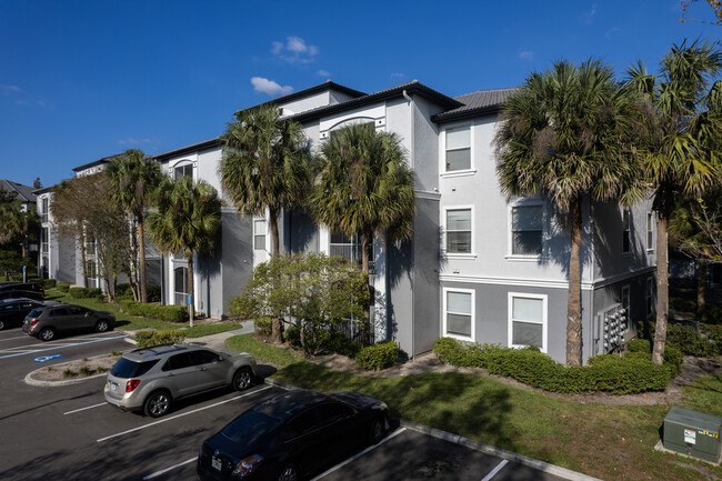 Allegro Palm in Riverview, FL - Building Photo - Building Photo