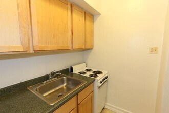 541 W Arlington Pl in Chicago, IL - Foto de edificio - Building Photo