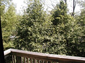 293 Hiscock St, Unit 1 in Ann Arbor, MI - Building Photo - Building Photo