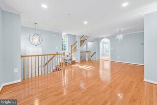 11249 Watermill Ln in Silver Spring, MD - Building Photo