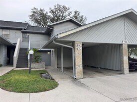 790 E Gilchrist Ct in Hernando, FL - Building Photo