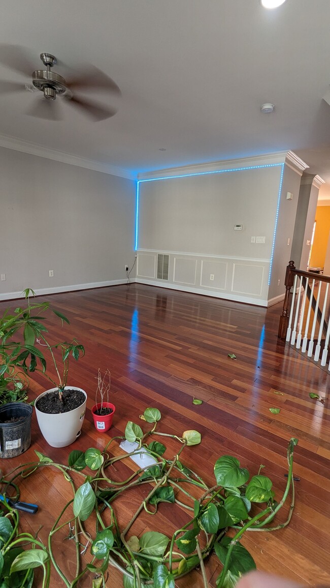 property at 13231 Maple Creek Ln