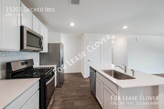 15203 Sacred Ibis in San Antonio, TX - Foto de edificio - Building Photo