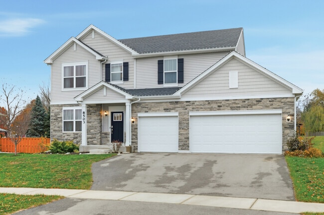 8503 Rosehall Dr in Joliet, IL - Building Photo - Building Photo