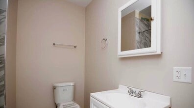 1447 W 17th St in Chicago, IL - Building Photo - Building Photo
