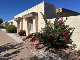 17247 N 106th Ave in Sun City, AZ - Building Photo