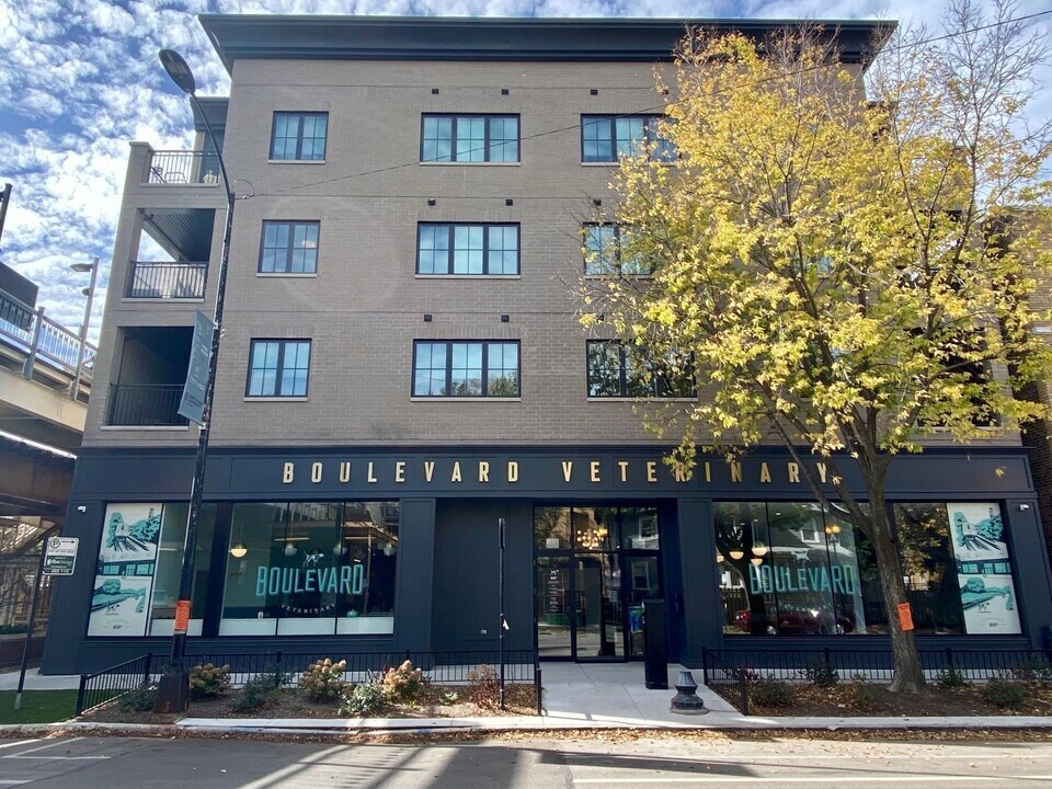 4646 N Damen Ave in Chicago, IL - Building Photo