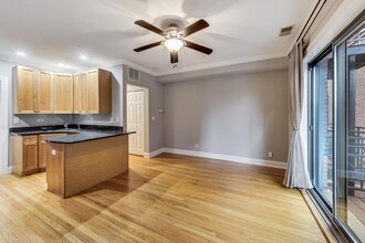 1151 W Grace St in Chicago, IL - Building Photo - Building Photo