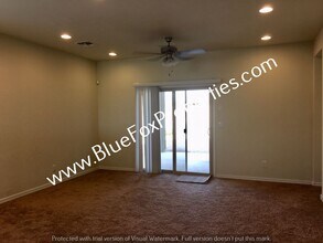 14206 N Spear Point Way in Marana, AZ - Building Photo - Building Photo