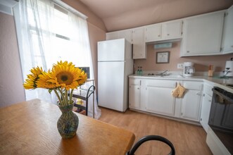 528 W Monument St in Colorado Springs, CO - Building Photo - Building Photo