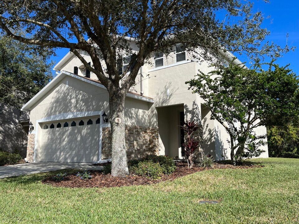 26915 Stillbrook Dr in Zephyrhills, FL - Building Photo