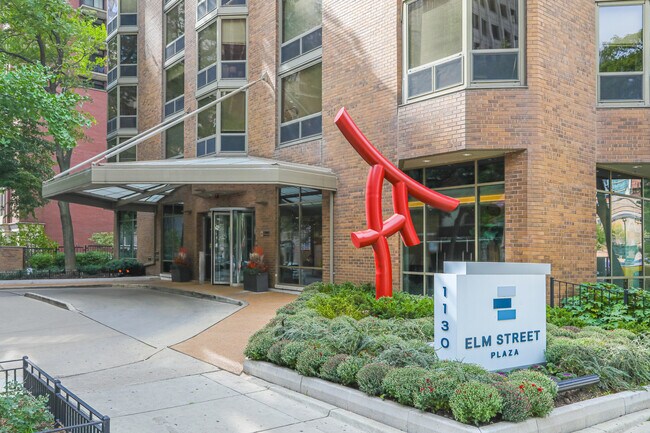 Elm Street Plaza in Chicago, IL - Foto de edificio - Building Photo